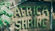 GIF by Partisan Records
