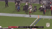Regular Season Football GIF by NFL