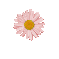 Sticker by Design4 web solutions