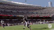Chicago Bears Football GIF by NFL