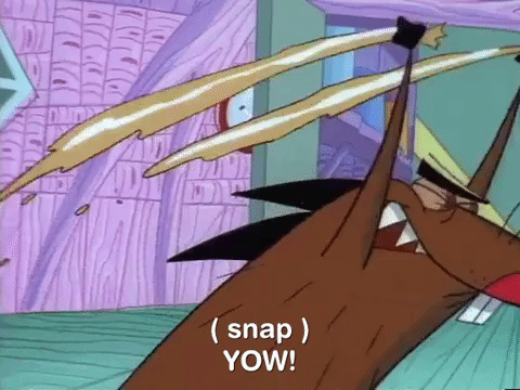 angry beavers nicksplat GIF