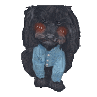 Dog Sticker
