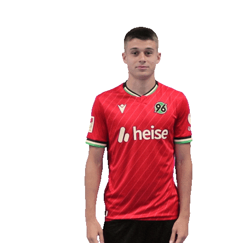 H96 Sticker by Hannover 96