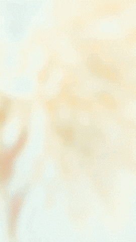 Chica Fivenightsatfreddys GIF by Youtooz