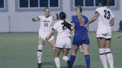 Ncaa Soccer GIF by gamecocksonline