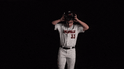 University Of Louisville Baseball GIF by Louisville Cardinals