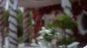 clueless movie GIF