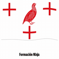 Castilla Y Leon Flag GIF by Formación Ninja