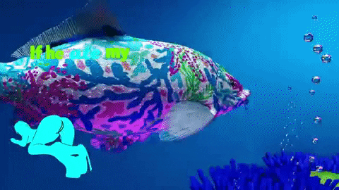 evanreececraighead giphygifmaker GIF