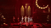 Cat Meow GIF by Cats Movie