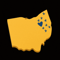 Kent Regionals GIF by Kent State Regional Campuses