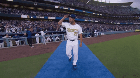 Los Angeles Dodgers Sport GIF by MLB