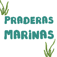 investigacionuca mar biologia pradera Sticker