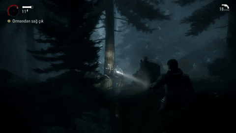 isikt giphyupload alan wake GIF