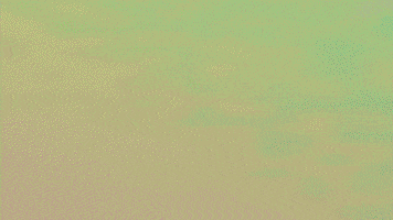 Happy Birthday Love GIF by xopaly