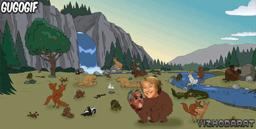 getting it on bachelet GIF