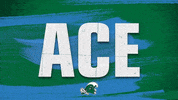 greenwave green volleyball 2019 tulane GIF
