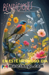 Feliz Dia GIF by Murcianys LLC