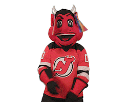 Ice Hockey Sticker by NHL