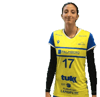 SSCPalmberg_Schwerin volleyball ssc schwerin sscpalmbergschwerin Sticker