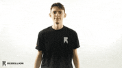 ShopifyRebellion rebellion bdog shopify rebellion sr bdog GIF