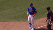 Celebrate Home Run GIF by New York Mets