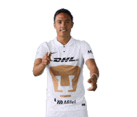 Liga Mx Soccer Sticker by Pumas MX