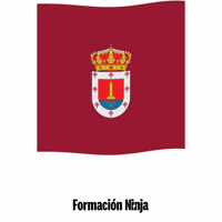 Castilla Y Leon Flag GIF by Formación Ninja
