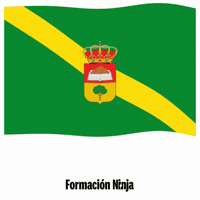 Castilla Y Leon Bandera GIF by Formación Ninja
