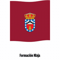 Castilla Y Leon Flag GIF by Formación Ninja