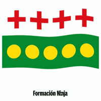 Castilla Y Leon Flag GIF by Formación Ninja