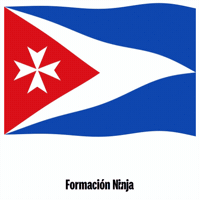 Castilla Y Leon Flag GIF by Formación Ninja