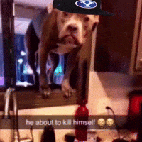 Dbf Depressed Dog GIF