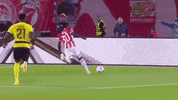 GIF by FK Crvena zvezda
