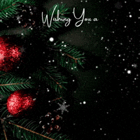 Merry Christmas Love GIF by Maria Johnsen