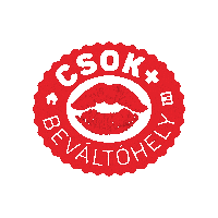 Csok Sticker by TOP3 Ingatlan
