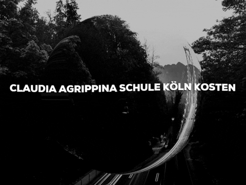 Laugh Smile GIF by PrivatschulenPORTAL.de