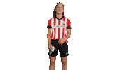 San Mames Bilbo Sticker by Athletic Club