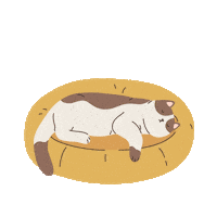 Cat Vet Sticker by VetPartners