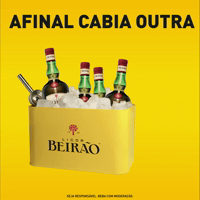 Pool Festa GIF by Licor Beirão