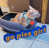Toilet Peeing GIF