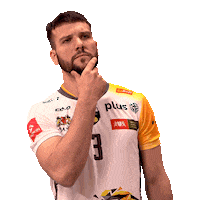 Team What Sticker by trefl_gdansk