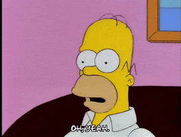 homer simpson GIF