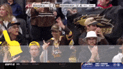 Frozen Four Flag GIF by TheDreamTeam 