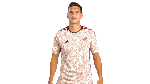 World Cup Mexico Sticker by MiSelecciónMX