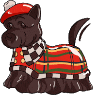 Mackenziechilds Sticker by MiSi Home