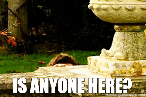 ryanmaynard giphygifmaker GIF