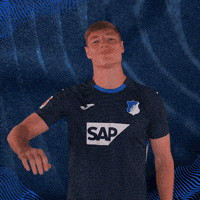 Sport Hallo GIF by TSG Hoffenheim
