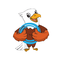 ICDRS diabetes novembro azul icd insulina Sticker