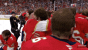 Stanley Cup Playoffs Win GIF by NHL